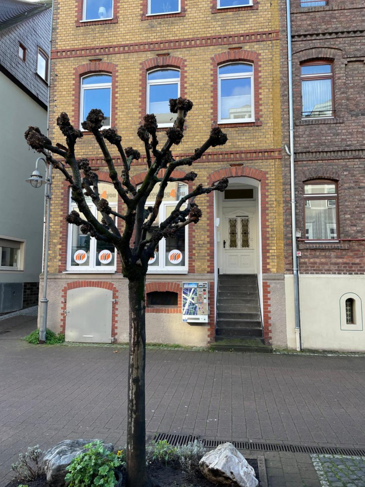 Good Times In St. Goar Apartment Sankt Goar Exterior photo